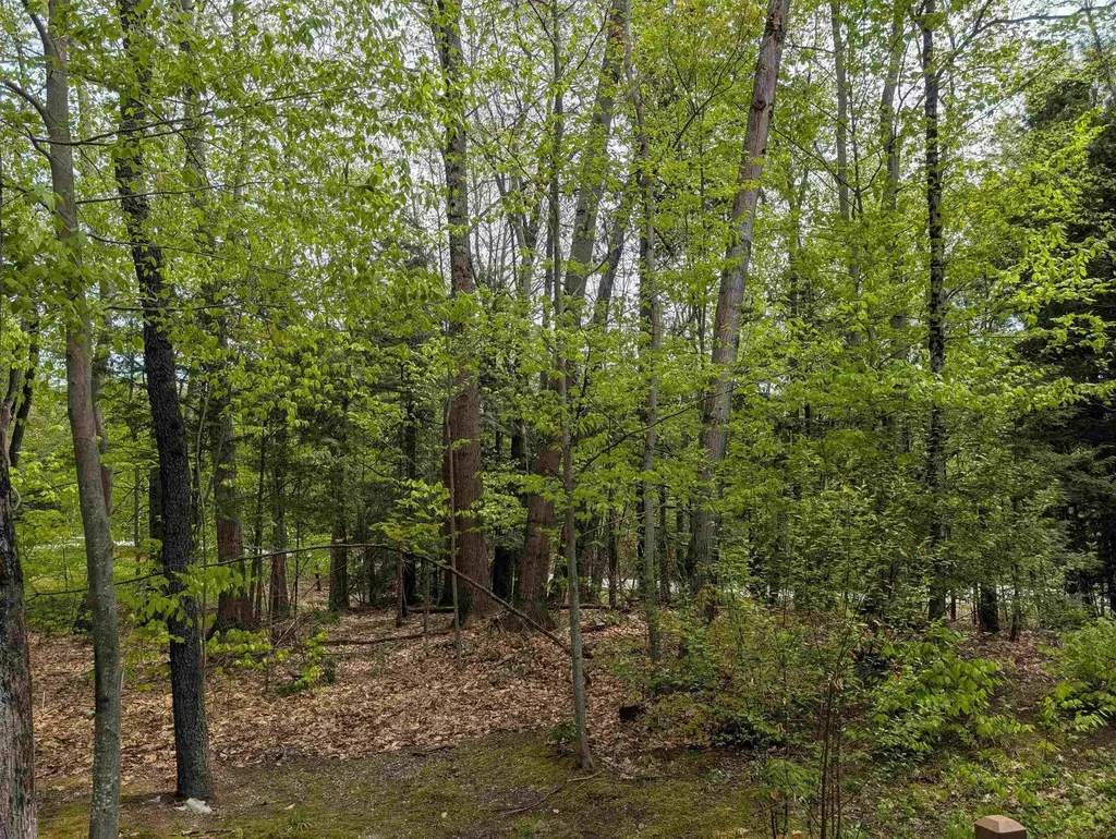 11 Cascade Drive Woodstock NH 03262