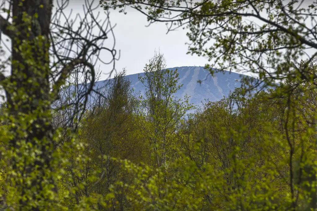 524 Reilly Road Londonderry VT 05148