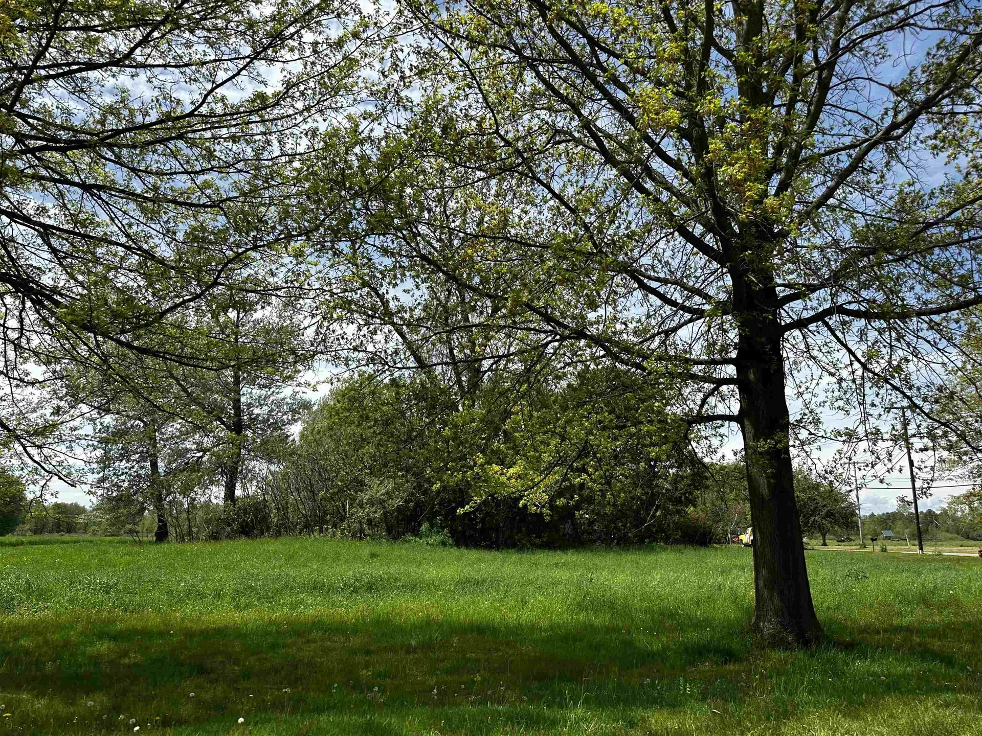 2 Wilmar Street Middlebury VT 05740