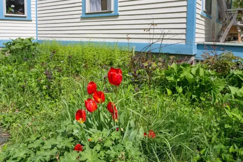 64 Meadowbrook Road Brattleboro VT 05301