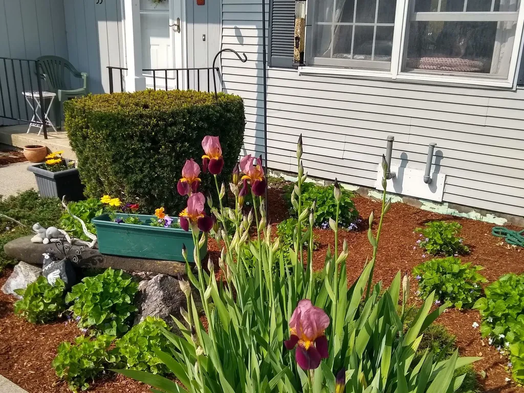 35 Twin Circles Middlebury VT 05753