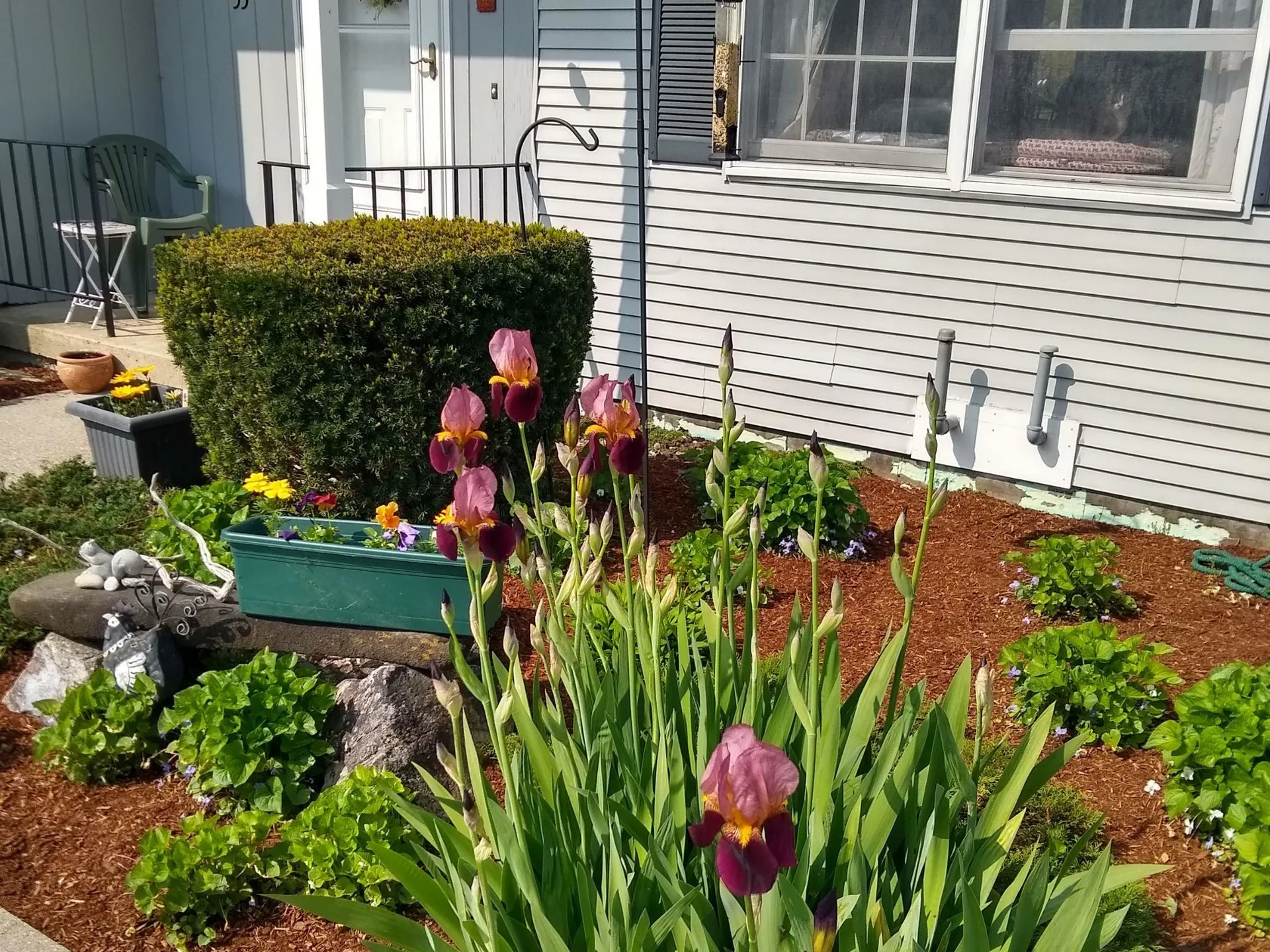 35 Twin Circles Middlebury VT 05753