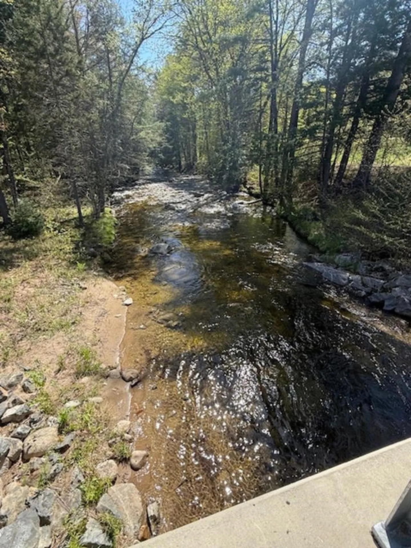 Lot 2 Covered Bridge Road Thornton NH 03285