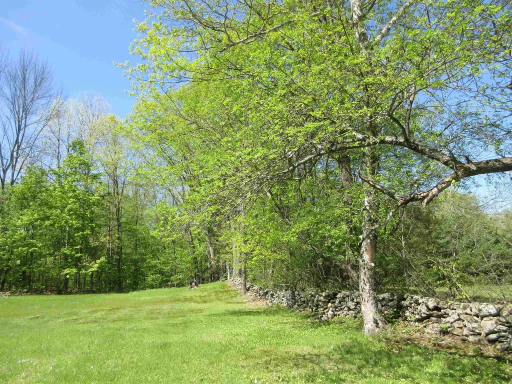260 Depot Road Newfane VT 05345