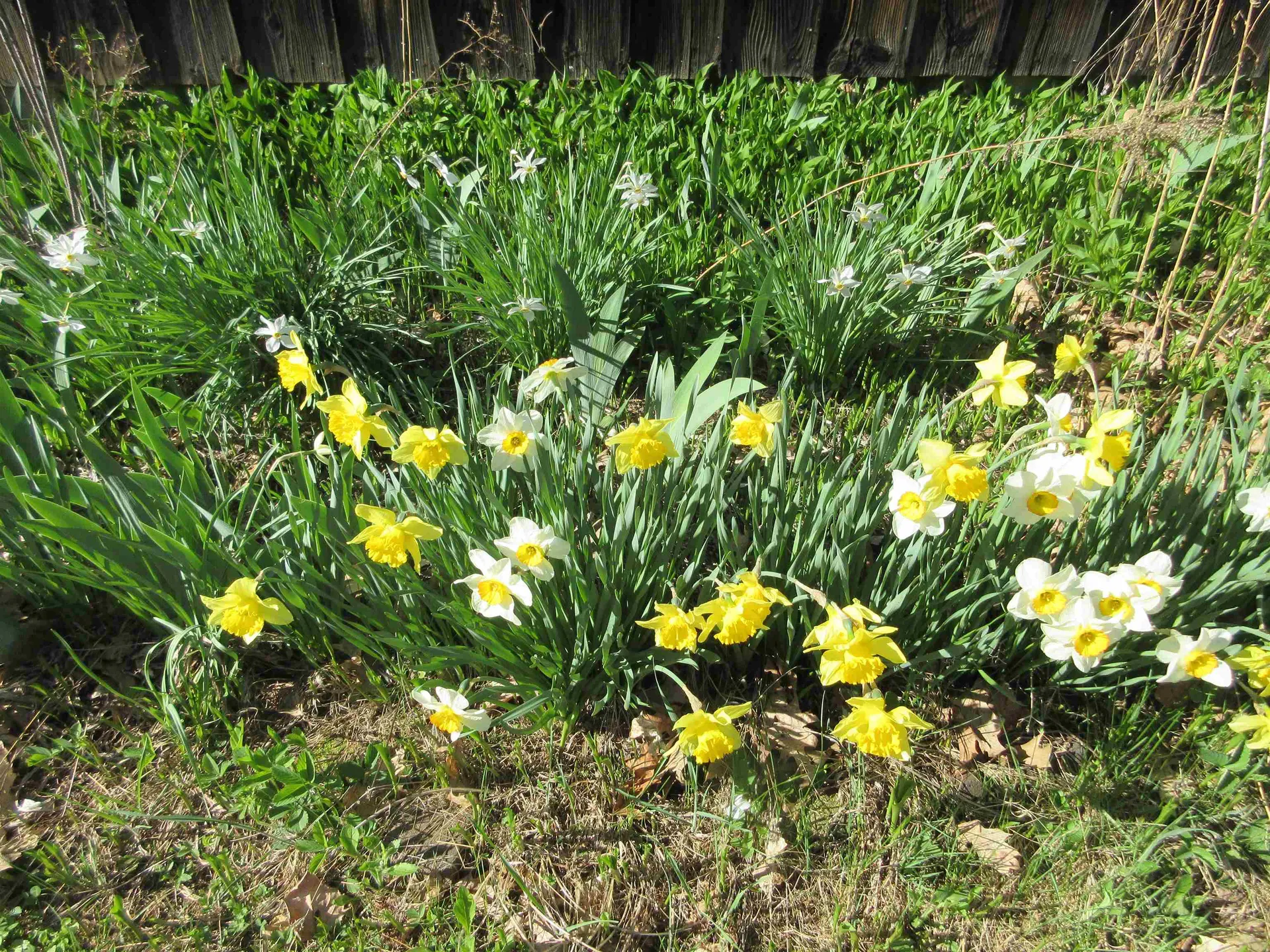 260 Depot Road Newfane VT 05345