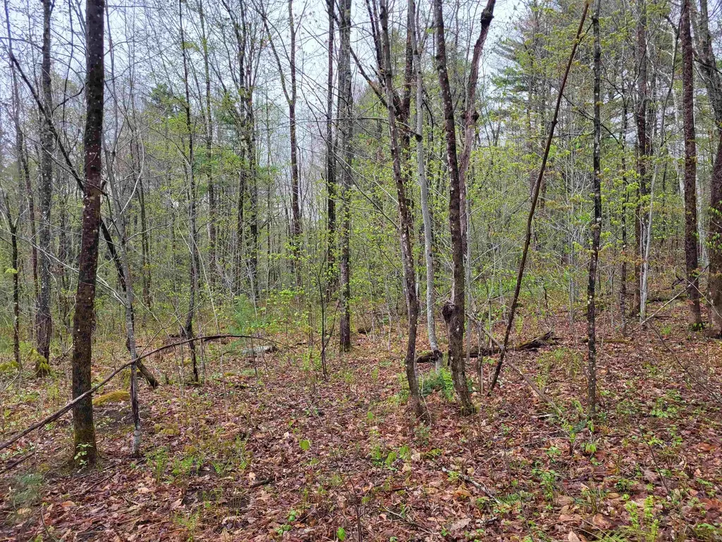 490 River Road Dorchester NH 03266