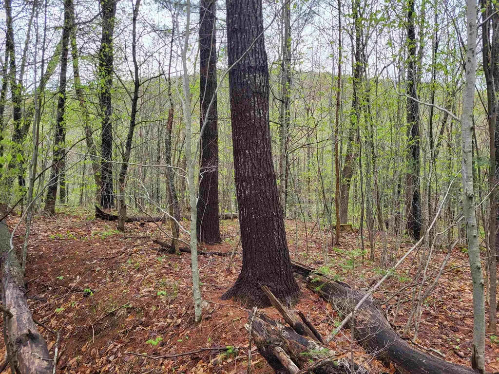 490 River Road Dorchester NH 03266