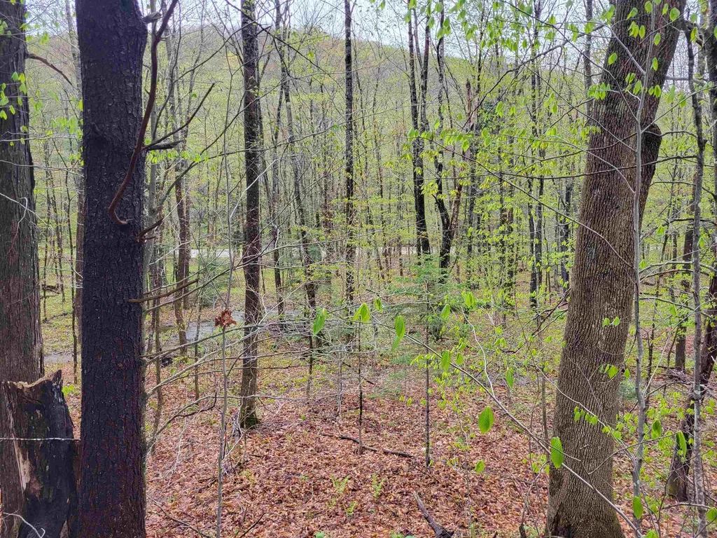 490 River Road Dorchester NH 03266