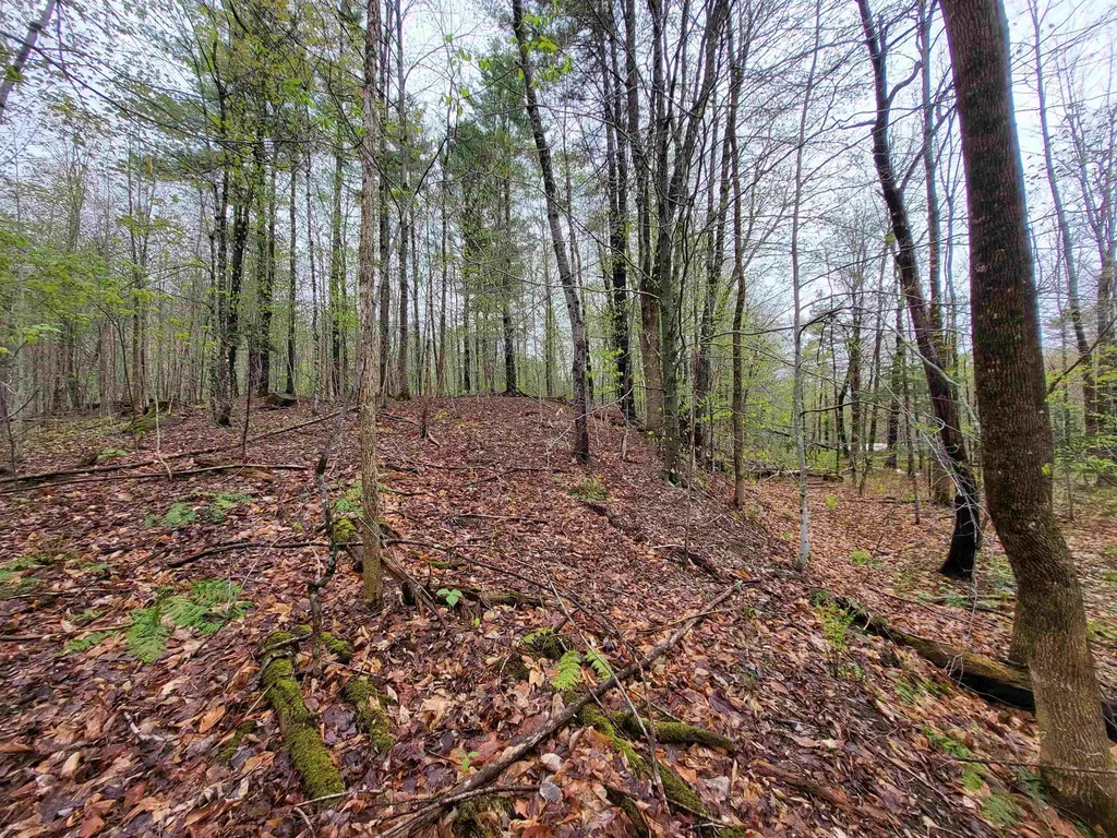 490 River Road Dorchester NH 03266