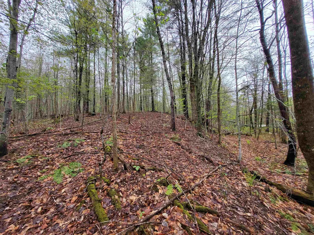 490 River Road Dorchester NH 03266