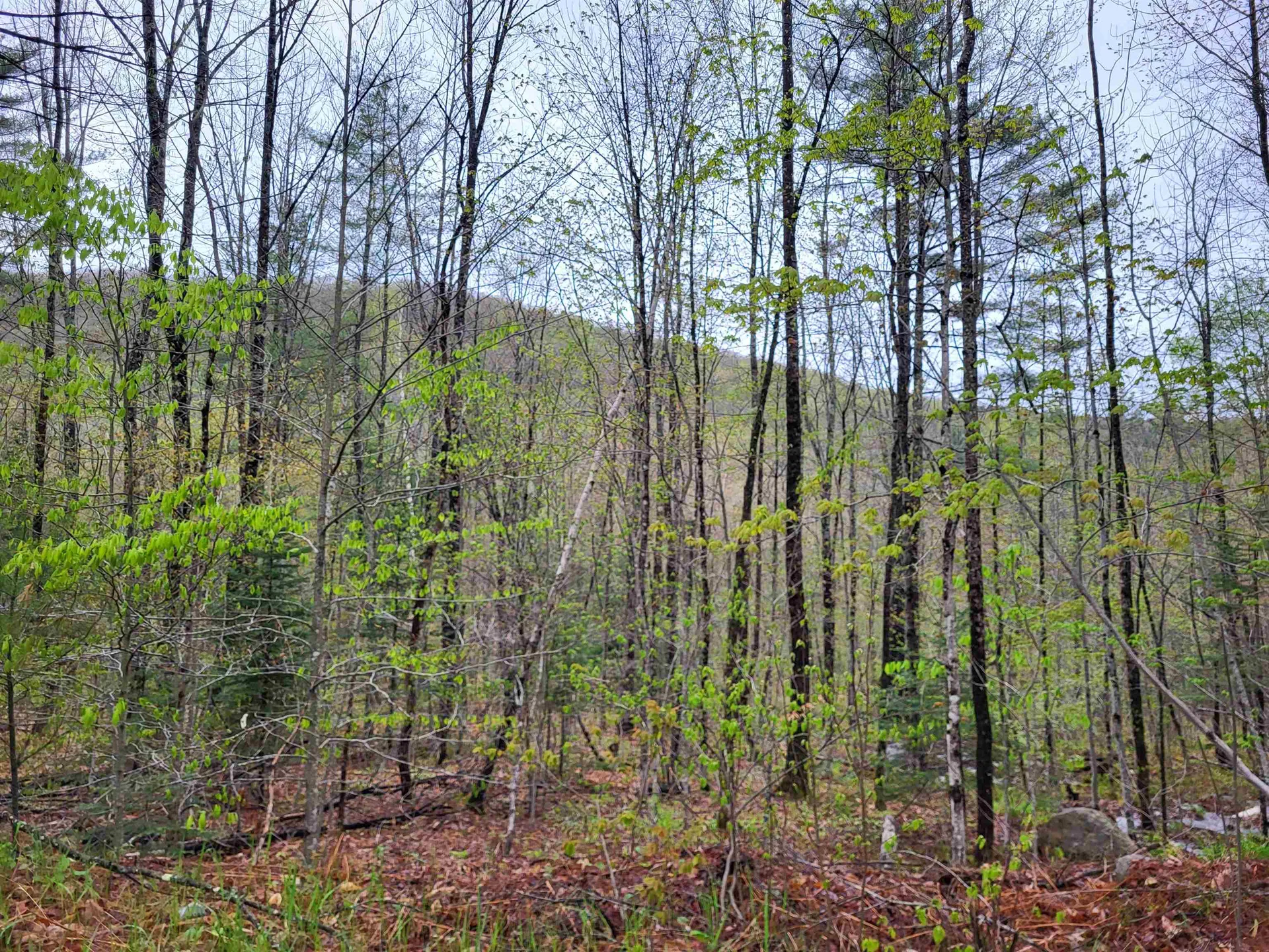 490 River Road Dorchester NH 03266