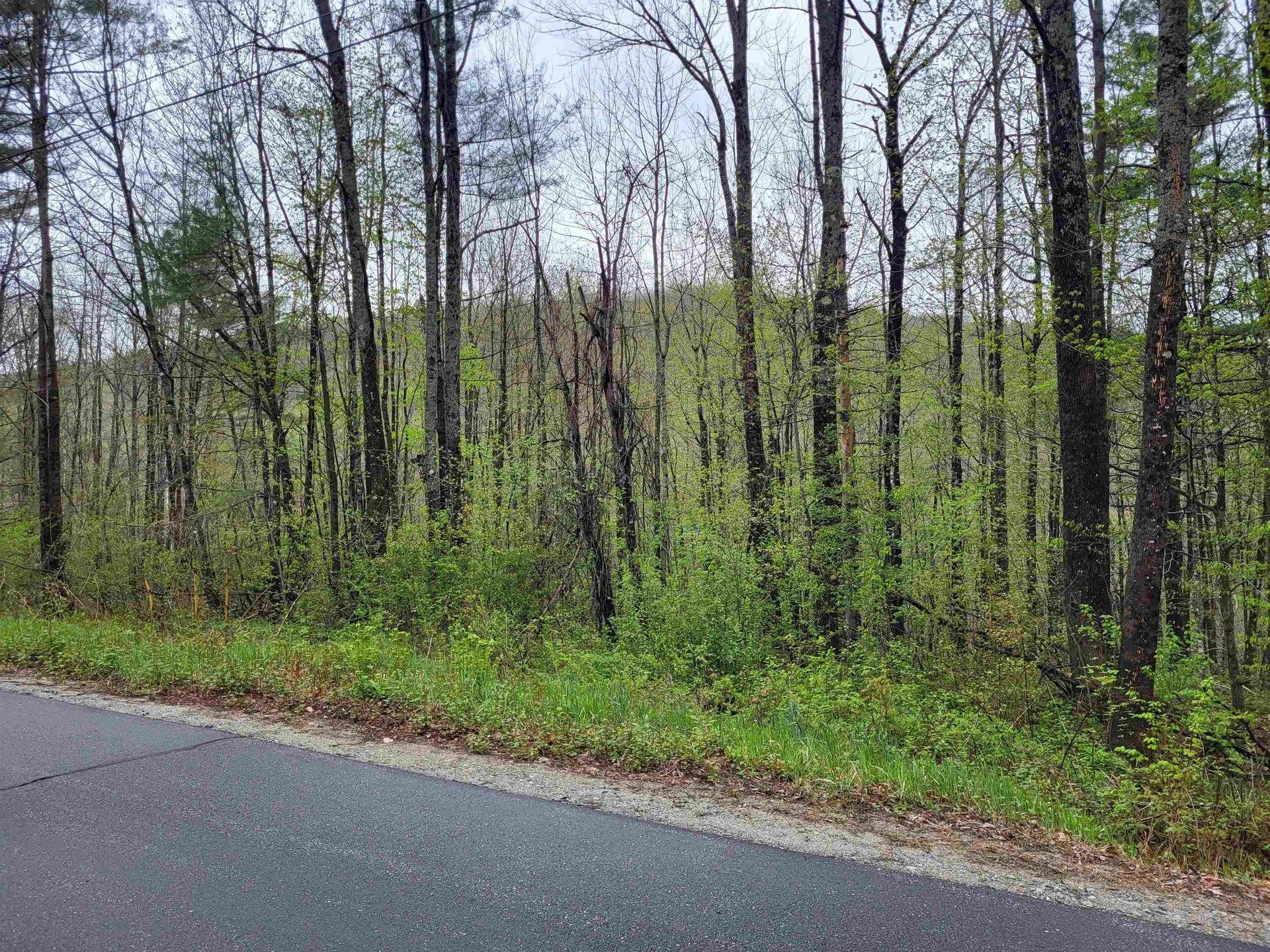 490 River Road Dorchester NH 03266