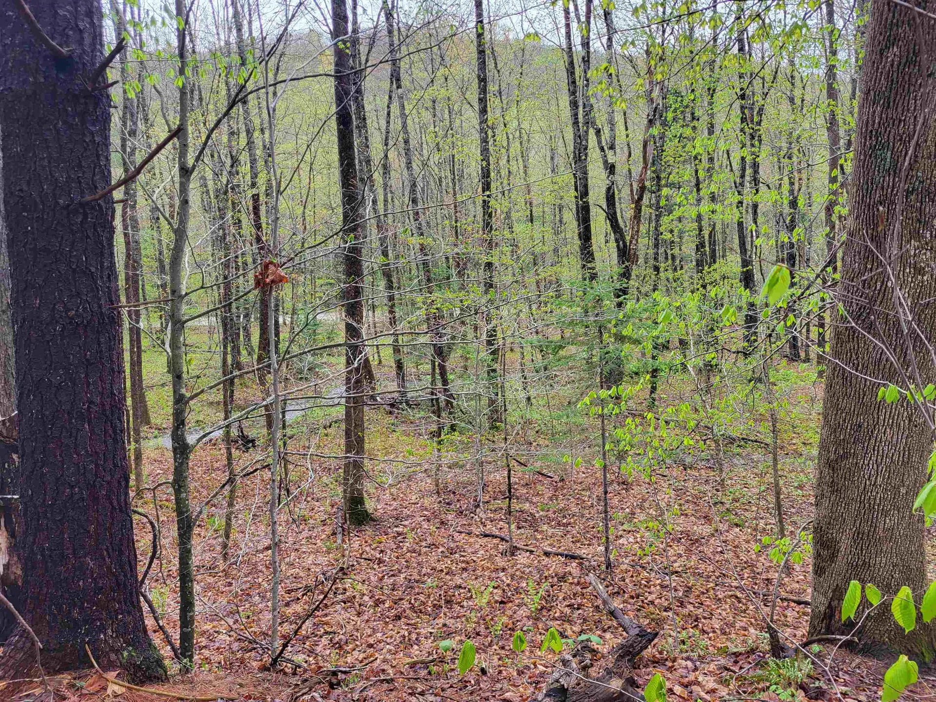 490 River Road Dorchester NH 03266