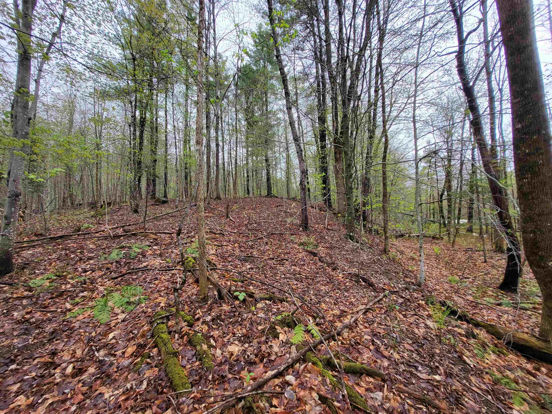 490 River Road Dorchester NH 03266