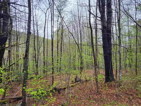 490 River Road Dorchester NH 03266