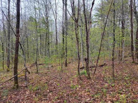 490 River Road Dorchester NH 03266