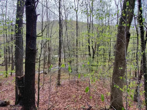 490 River Road Dorchester NH 03266