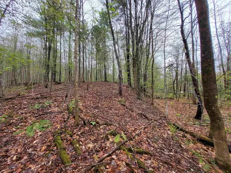 490 River Road Dorchester NH 03266