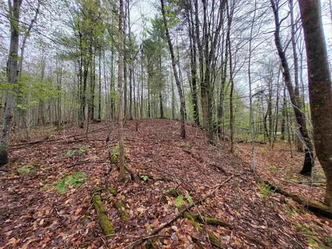 490 River Road Dorchester NH 03266