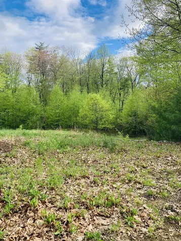 44 Labrador Lane Barrington NH 03825