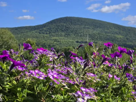 762 Houran Road Bennington VT 05201