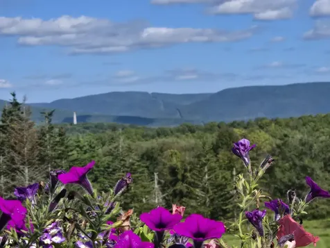 762 Houran Road Bennington VT 05201