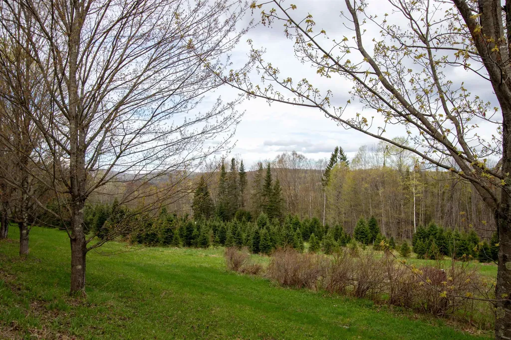 1202 Cotton Road Lyndon VT 05851