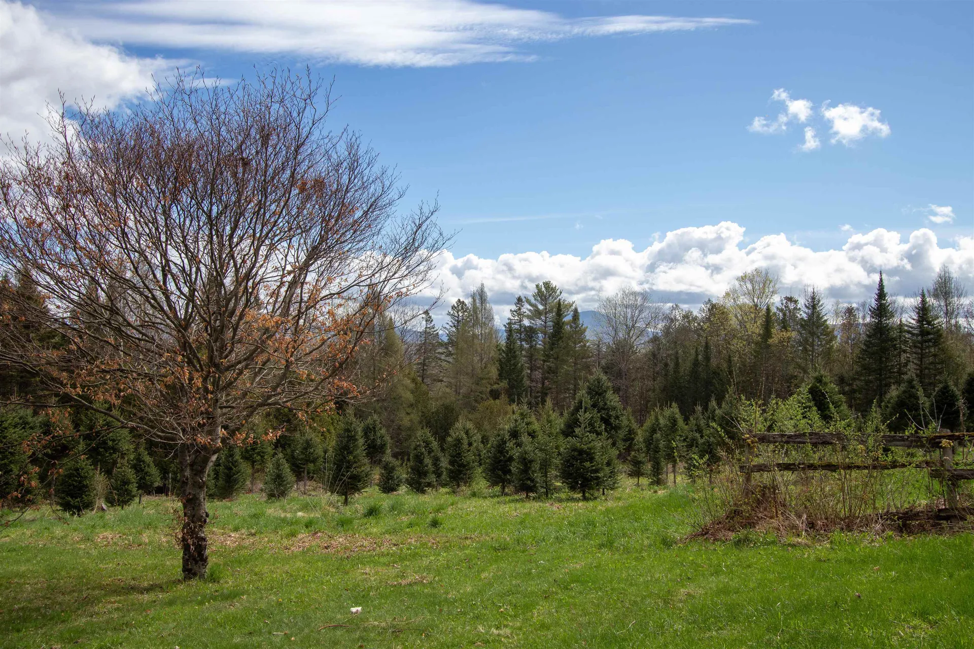1202 Cotton Road Lyndon VT 05851