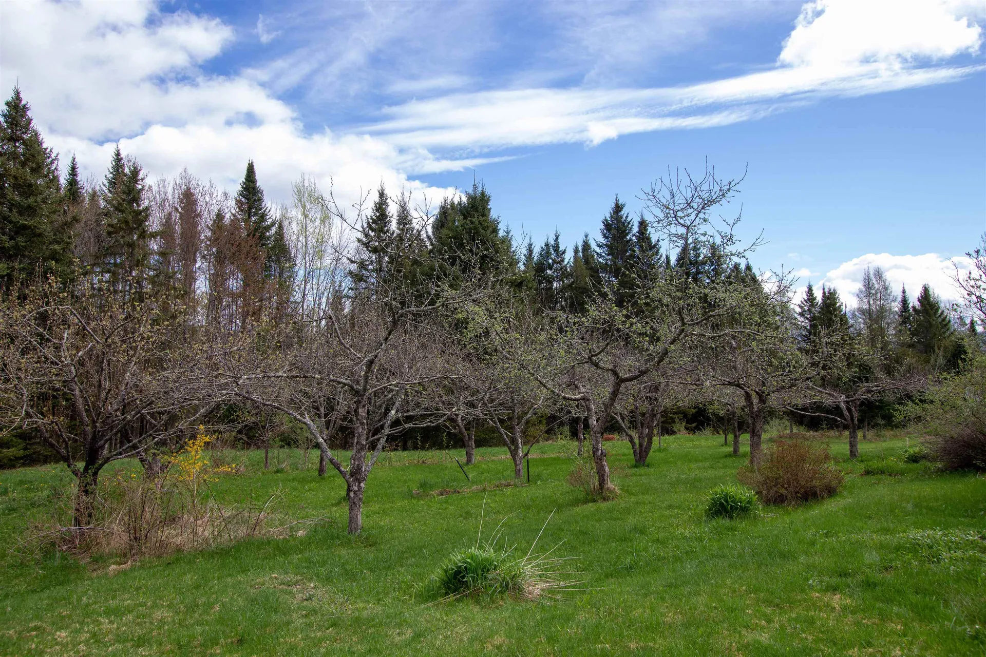 1202 Cotton Road Lyndon VT 05851