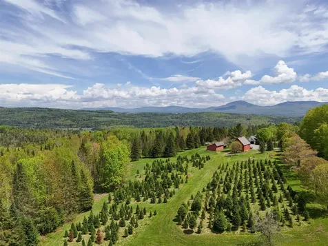1202 Cotton Road Lyndon VT 05851