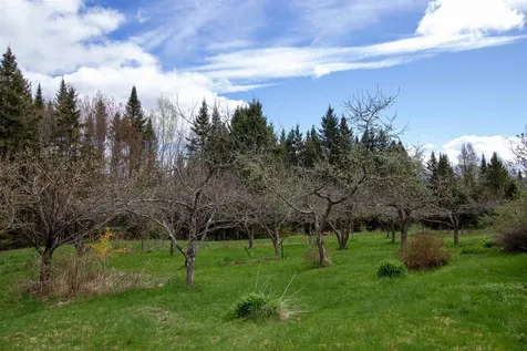 1202 Cotton Road Lyndon VT 05851