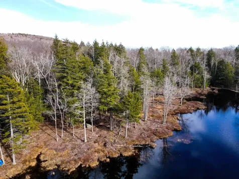 583 Mountain Road Newbury NH 03255