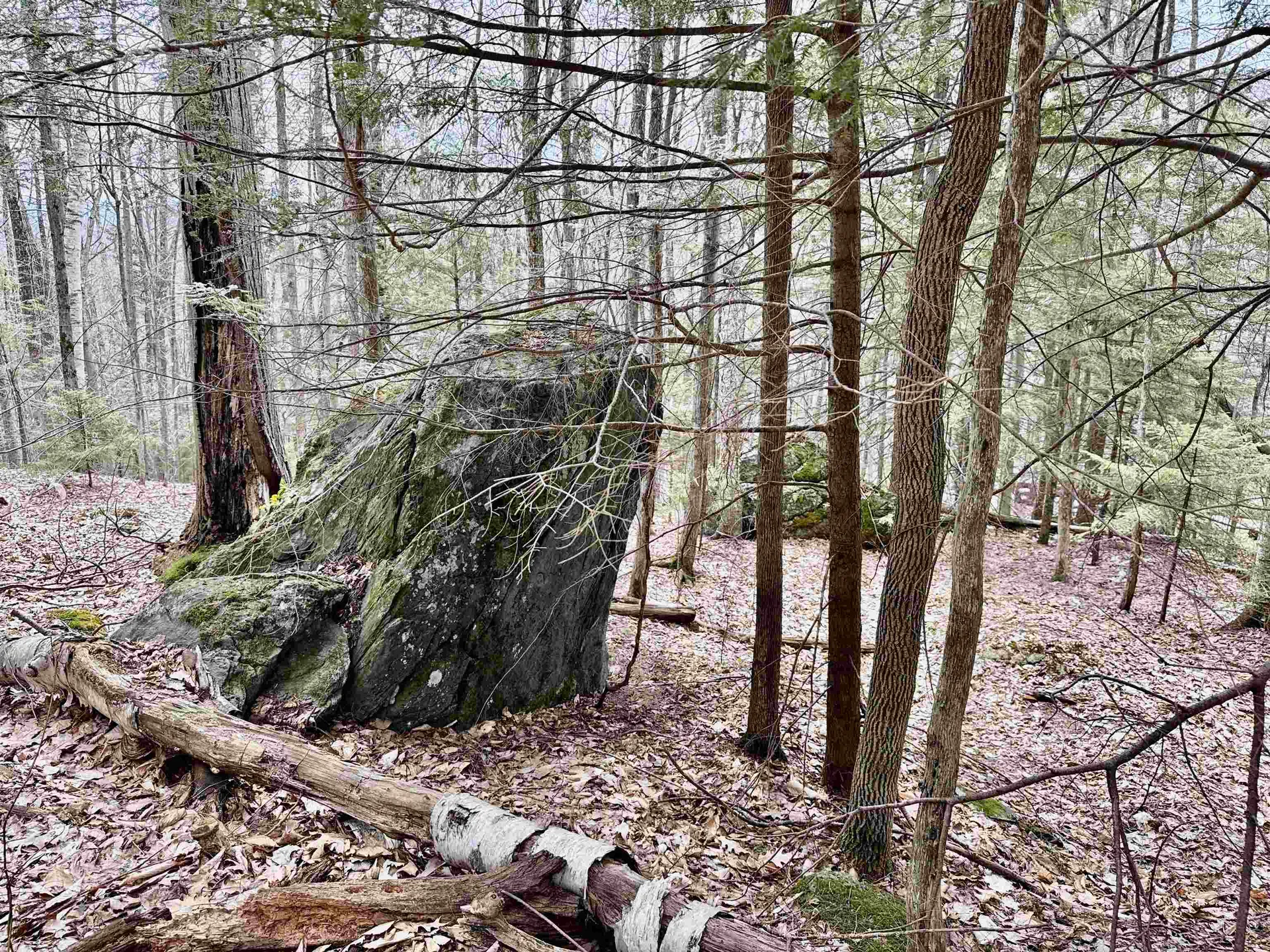 0 Taylor Road Fletcher VT 05448