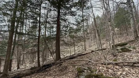 0 Taylor Road Fletcher VT 05448