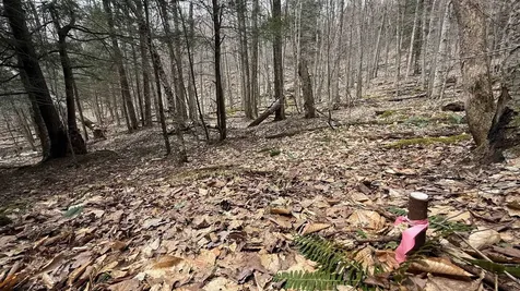 0 Taylor Road Fletcher VT 05448