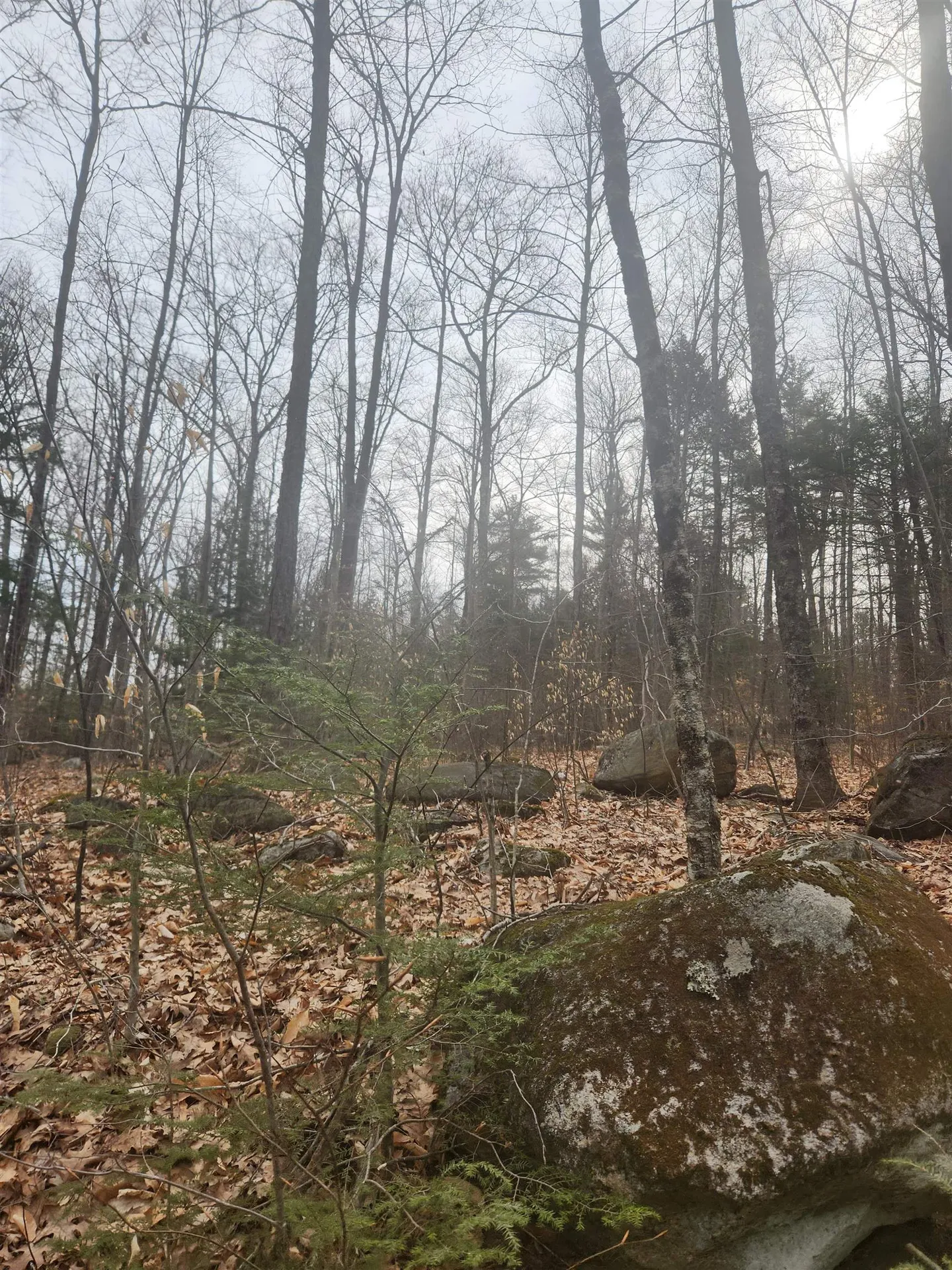 0 Attleboro Mountain Road Richmond NH 03470