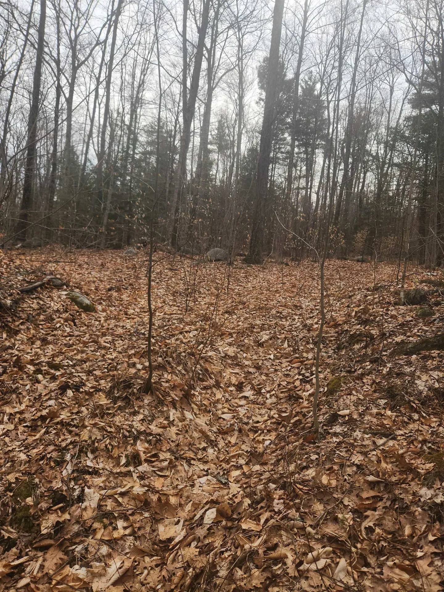 0 Attleboro Mountain Road Richmond NH 03470