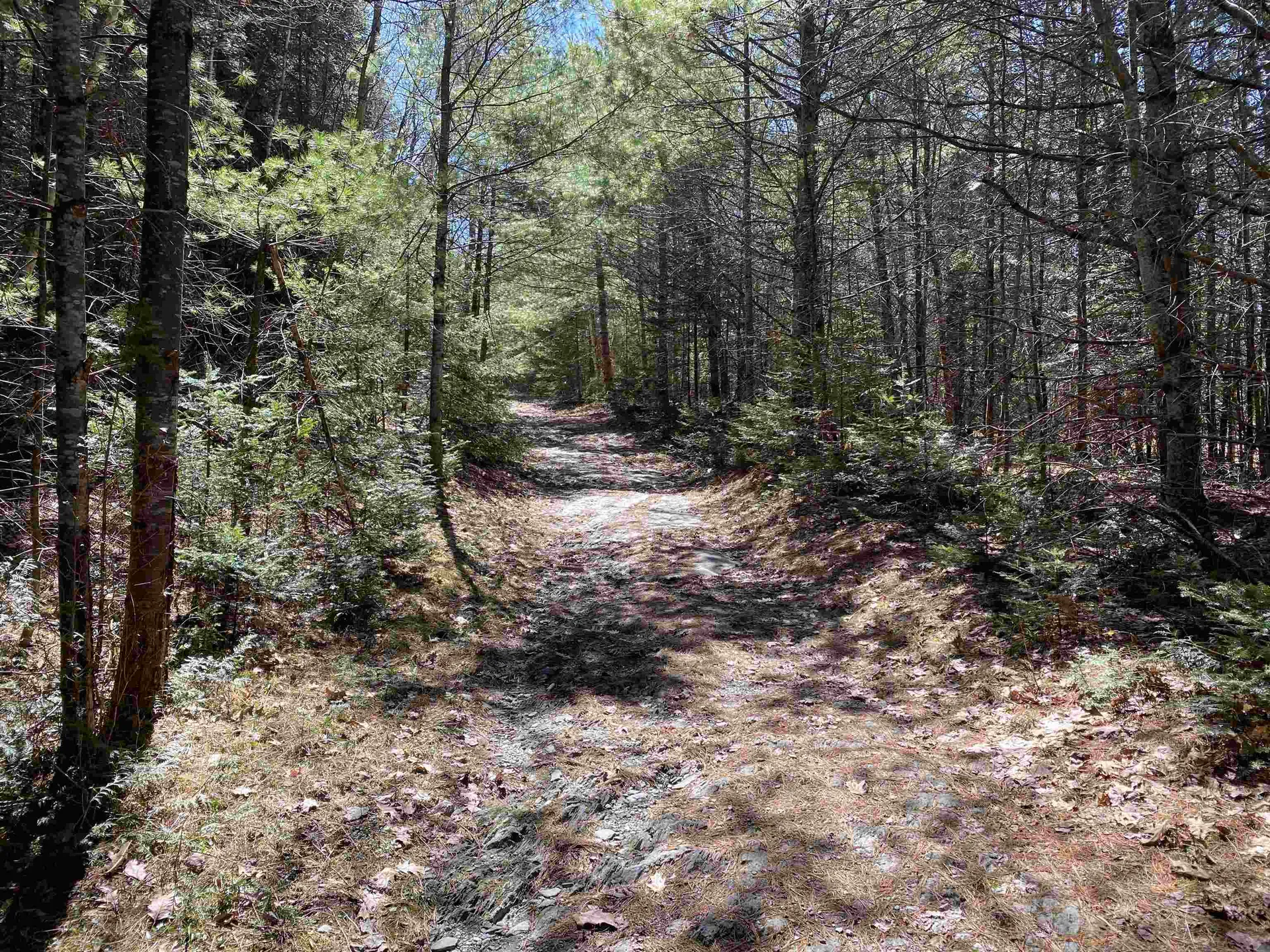 Mace Road Newbury VT 05033