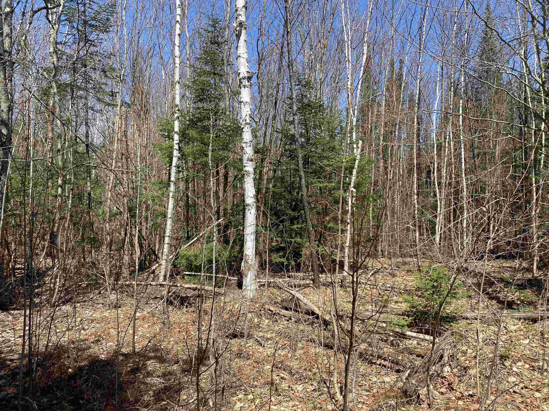 Mace Road Newbury VT 05033