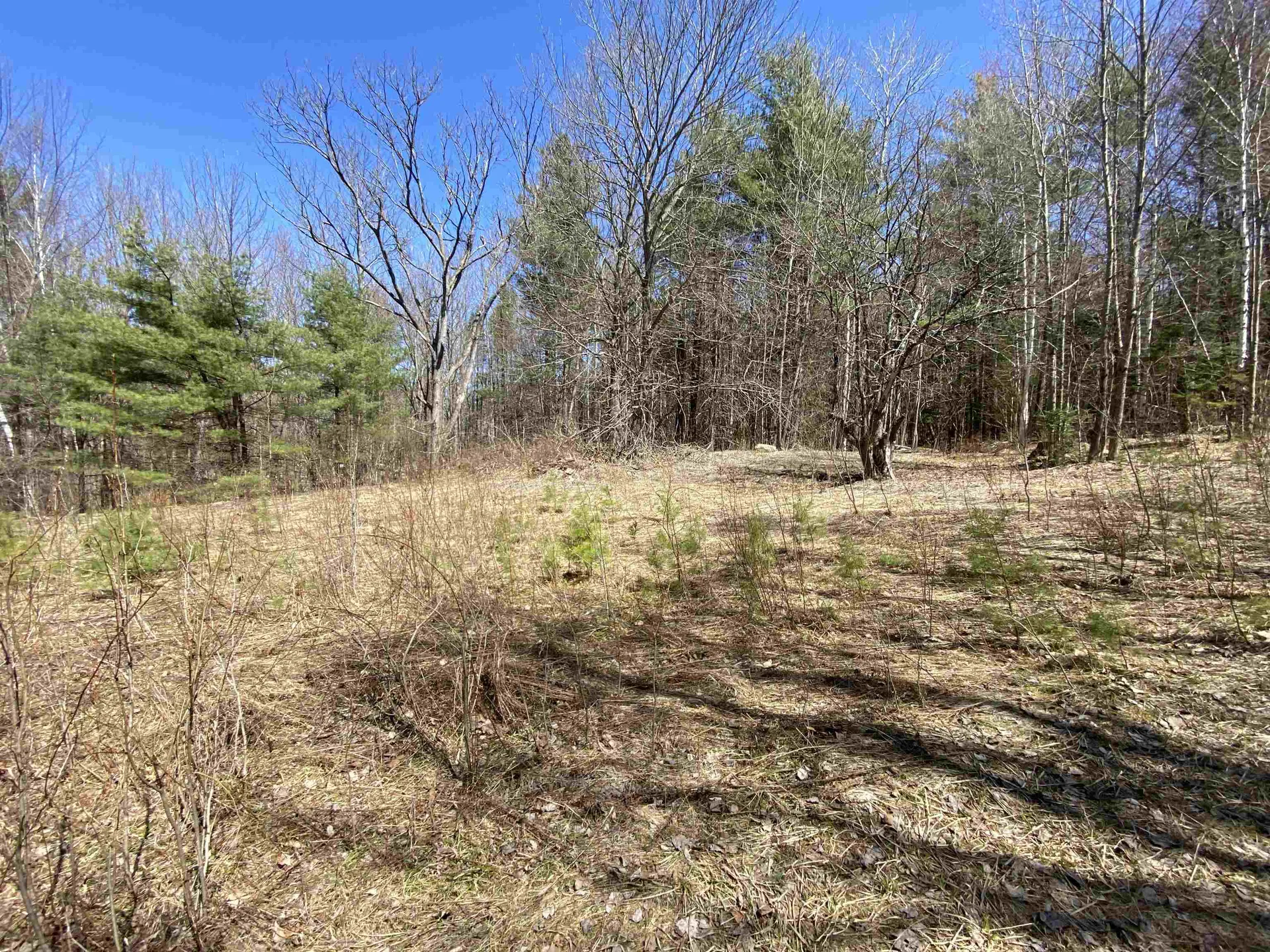 Mace Road Newbury VT 05033