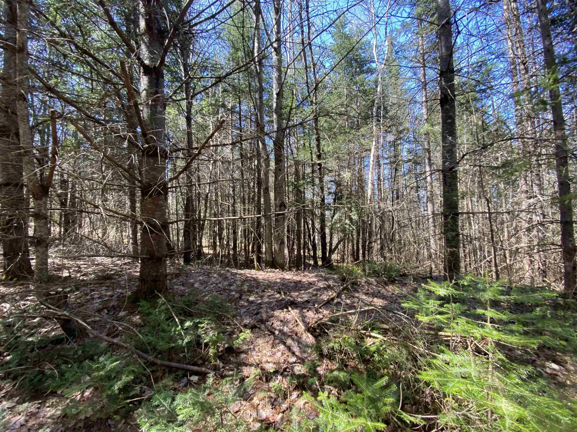 Mace Road Newbury VT 05033