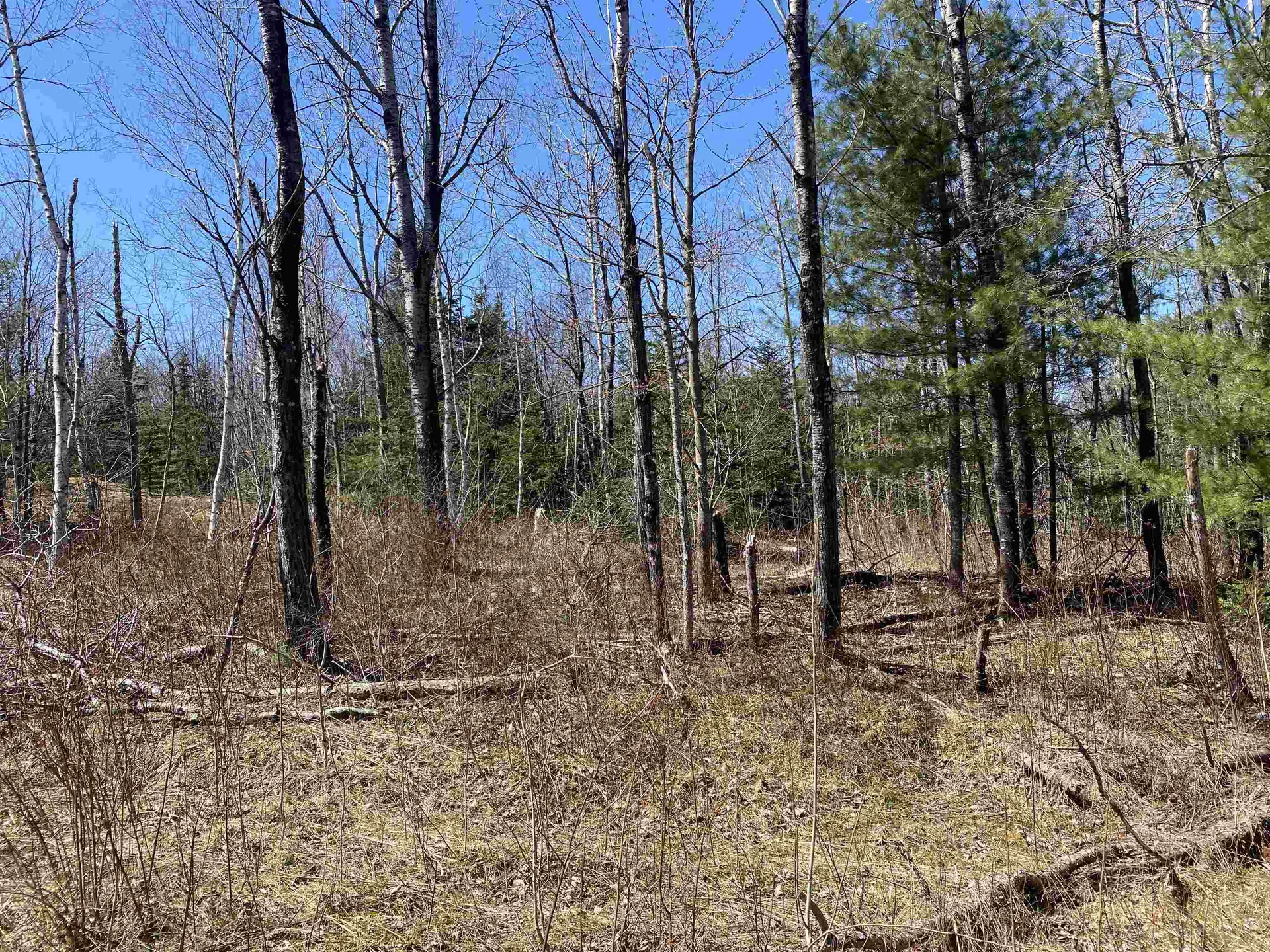 Mace Road Newbury VT 05033