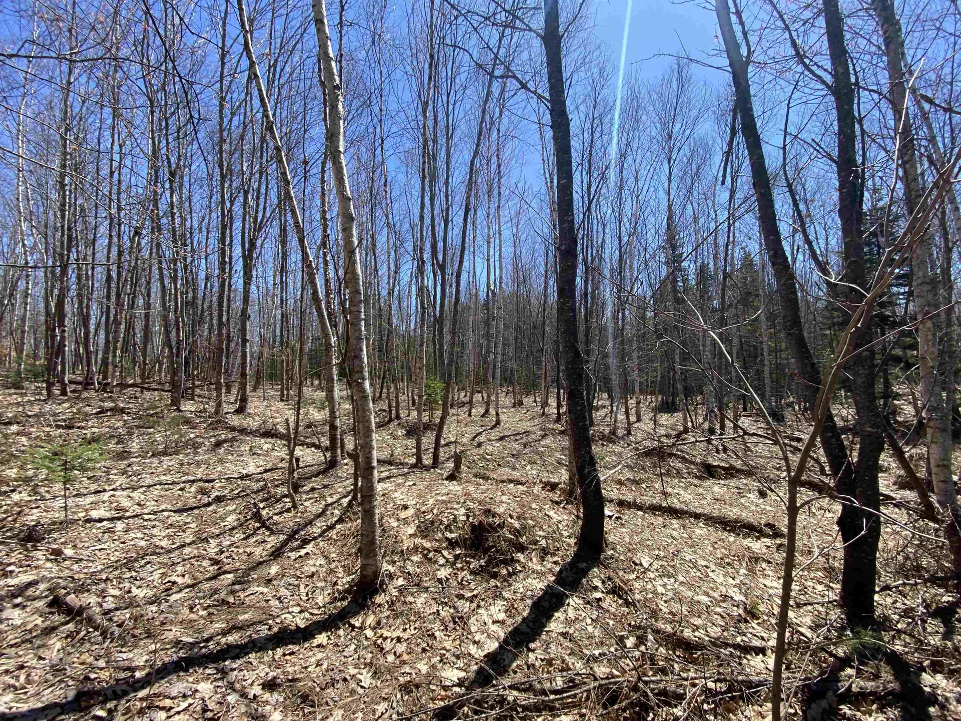 Mace Road Newbury VT 05033