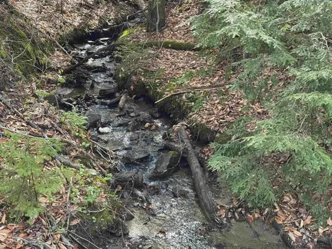 3185 Higley Hill Road Marlboro VT 05344