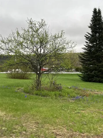 28 Mudget Drive Hyde Park VT 05655