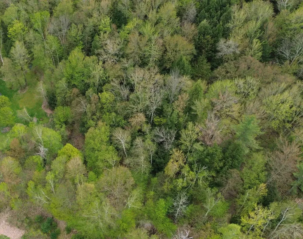 575 Greystone Drive Richmond VT 05477