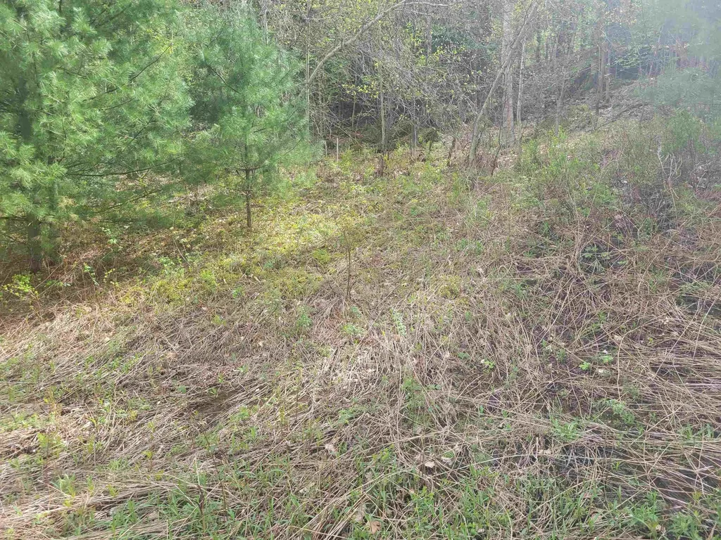 575 Greystone Drive Richmond VT 05477