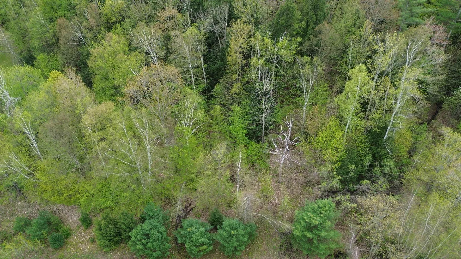 575 Greystone Drive Richmond VT 05477