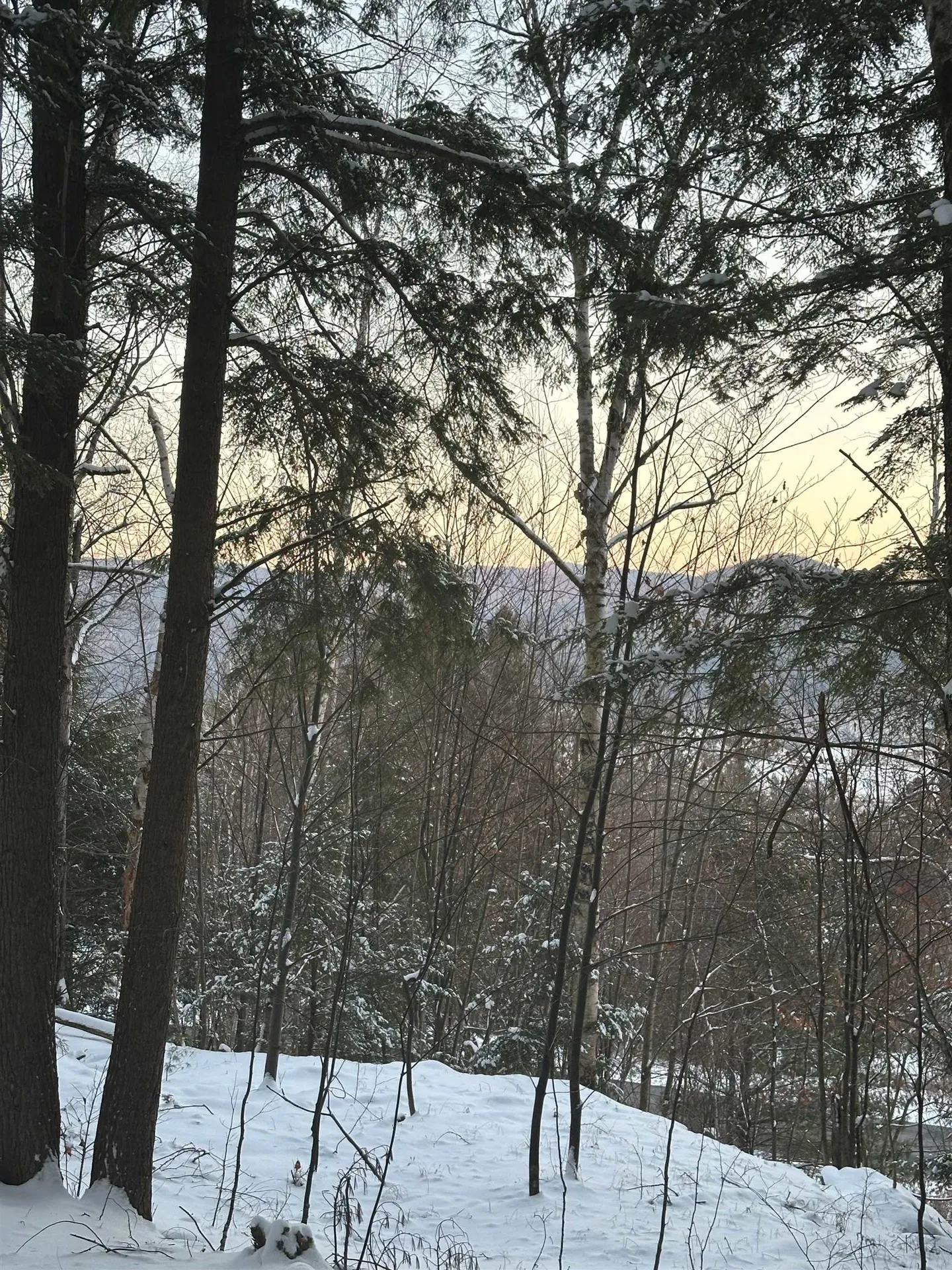 575 Greystone Drive Richmond VT 05477