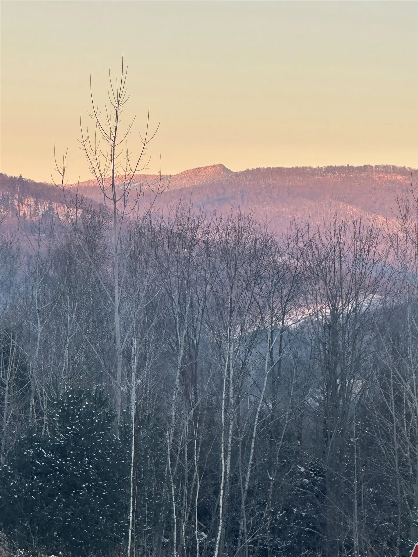 575 Greystone Drive Richmond VT 05477